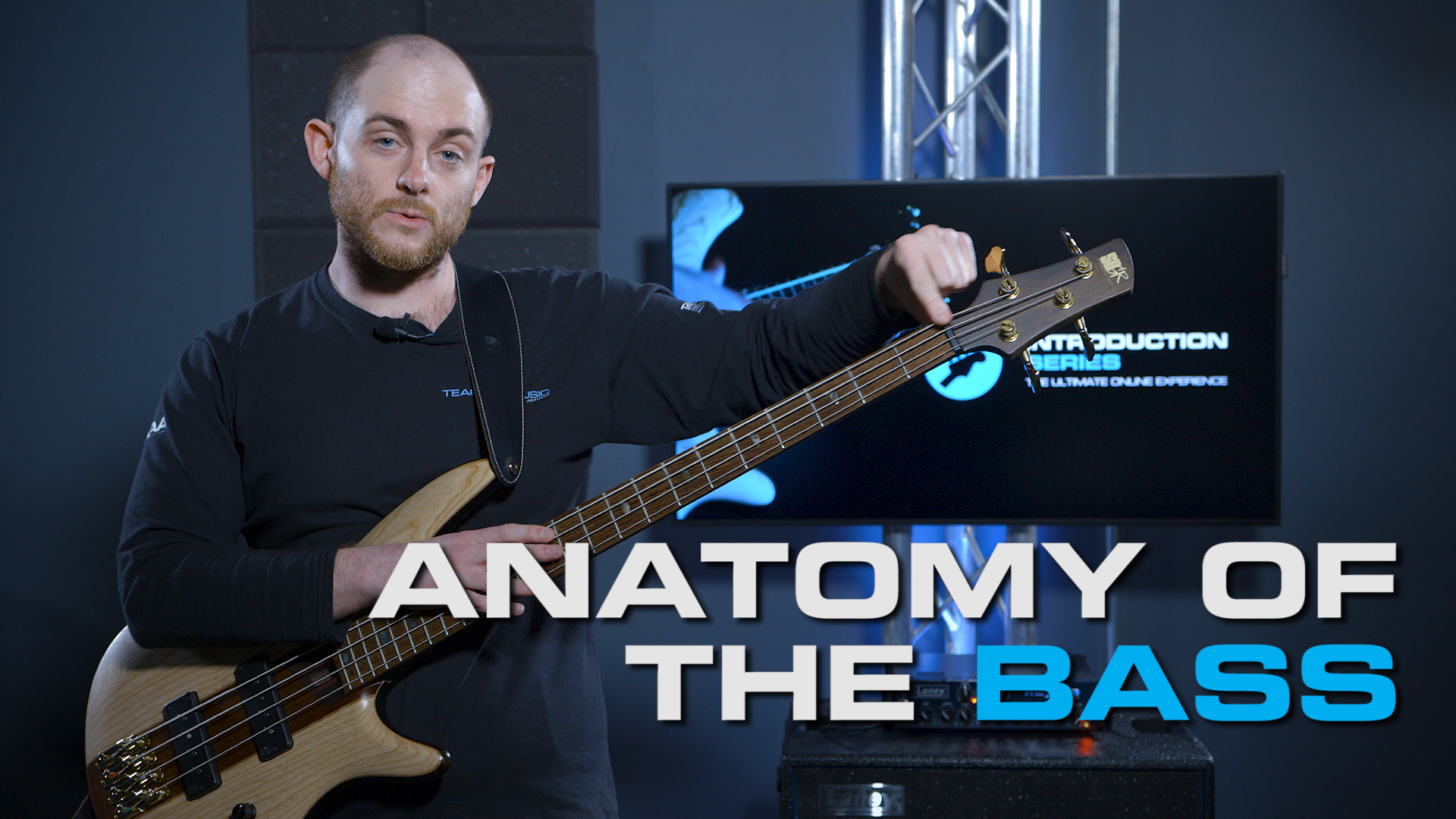 Anatomy of a bass